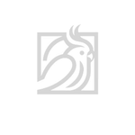 Portfolio logo 21
